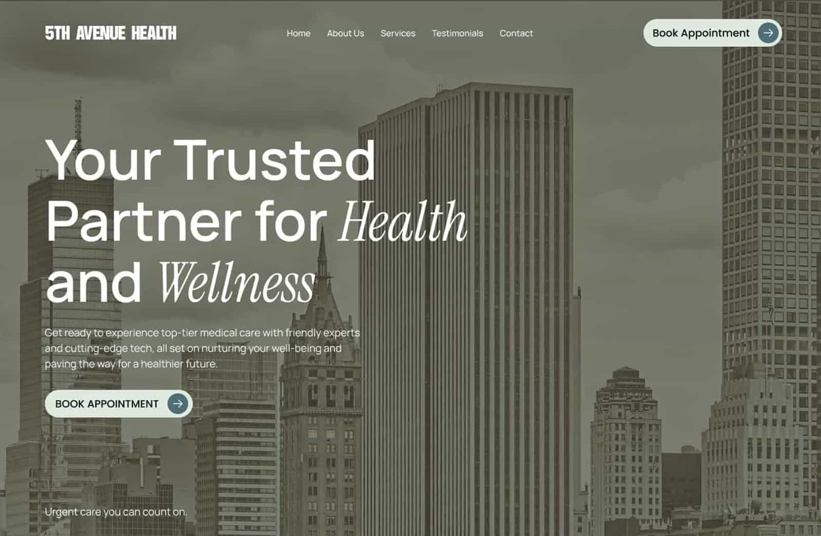 5th Avenue Health website homepage featuring skyscrapers in the background, promoting health and wellness services with clear messaging and a button to book a health appointment.