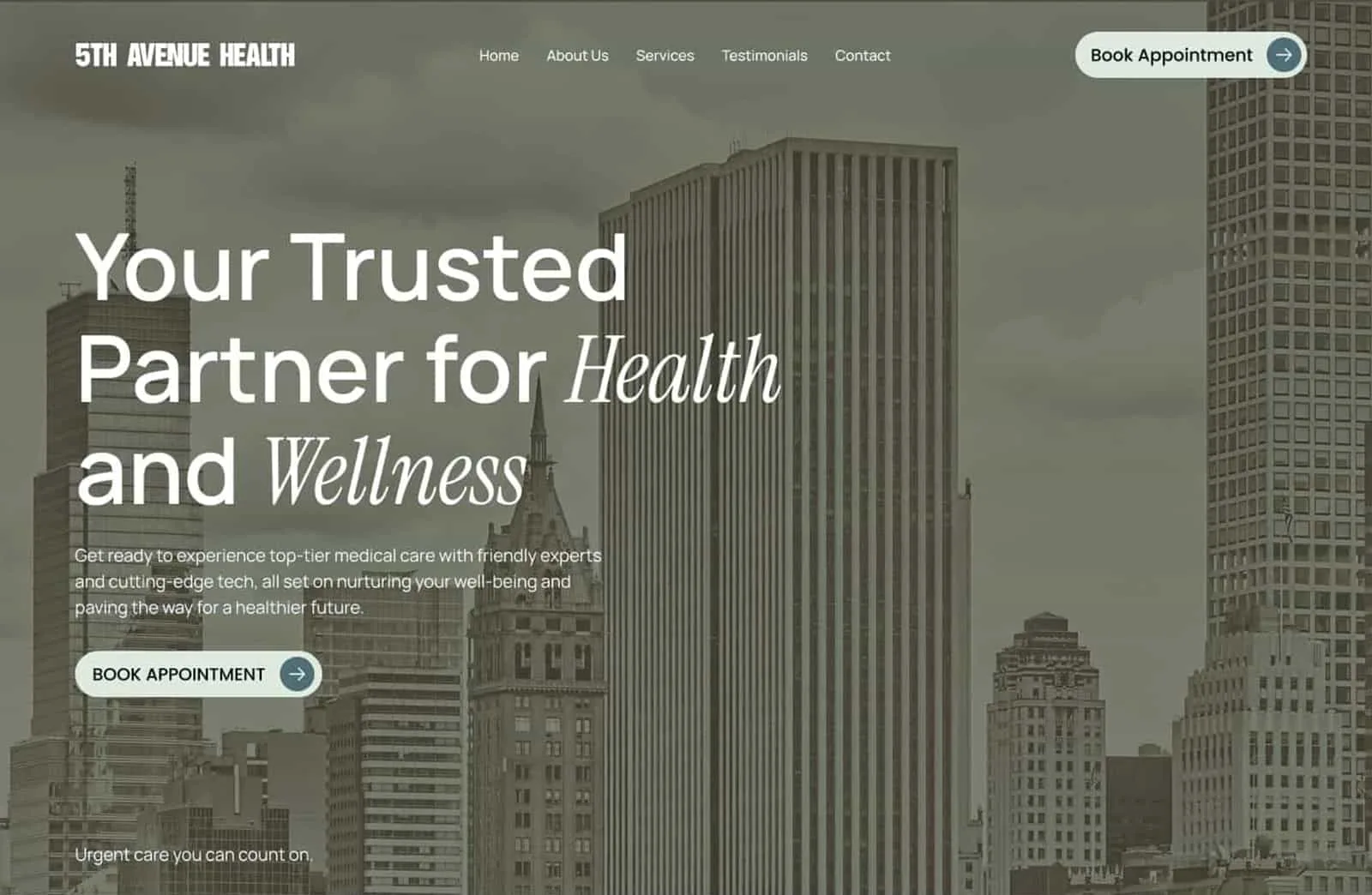 Home 5th Avenue Health website homepage featuring skyscrapers in the background, promoting health and wellness services with clear messaging and a button to book a health appointment.