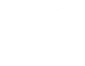 White handwritten script text reads "Brian Schnurr" on a light gray background.